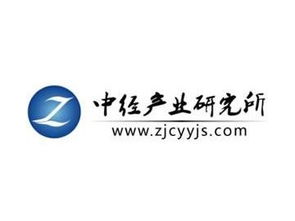 中國(guó)網(wǎng)絡(luò)安全市場(chǎng)運(yùn)營(yíng)形勢(shì)及前景發(fā)展規(guī)劃分析報(bào)告（2018-2020） 聚焦網(wǎng)絡(luò)與信息安全軟件開(kāi)發(fā)