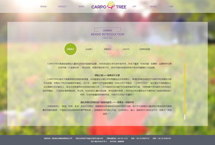 卡波樹(shù)童裝 品質(zhì)與創(chuàng)新并舉，助力外貿(mào)銷售新高度
