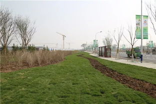 查漏補(bǔ)缺 ,讓環(huán)境景觀(guān)更綠色 更自然