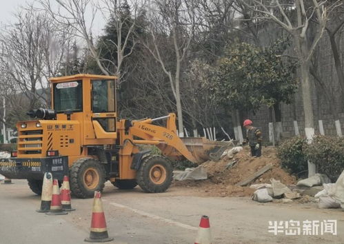青島市區(qū)園林綠化工程有序復工，施工人員忙碌建設美麗家園