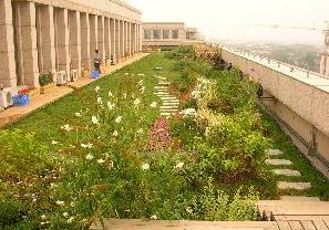 市園林綠化局檢查我區(qū)屋頂綠化工程，助力城市生態(tài)建設(shè)
