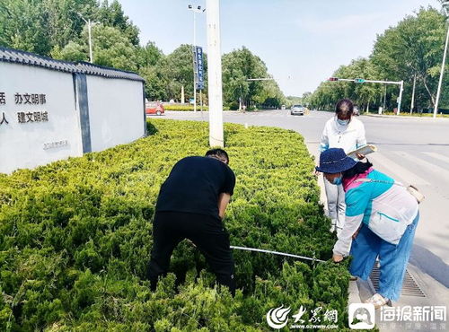 青州市園林綠化和環衛中心 卡準綠化施工精度尺，拉緊項目驗收質量繩——以高標準打造體育場地設施工程