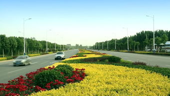 綠動磁州，健行未來 八項重點工程繪就園林縣城新畫卷